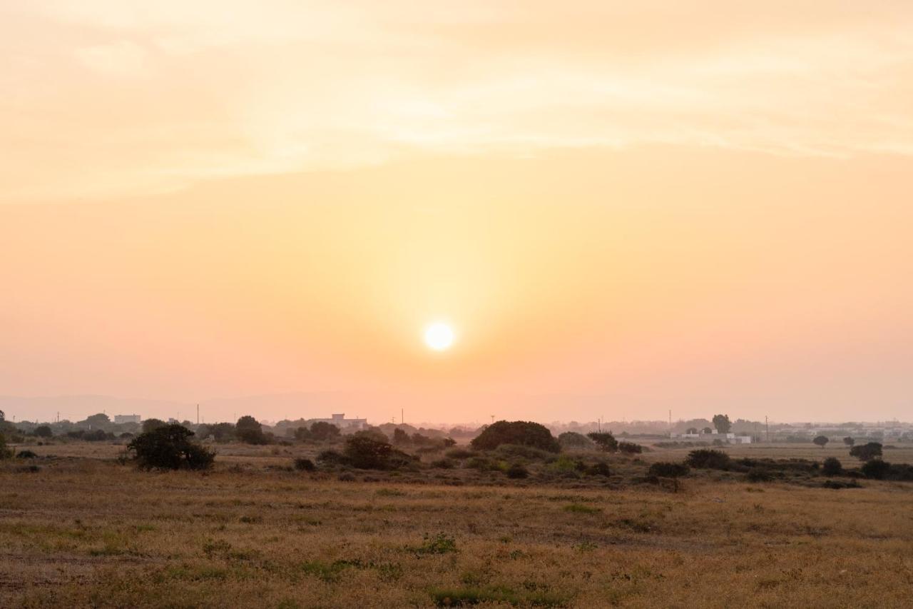 Masseria Gorgognolo オストゥーニ エクステリア 写真